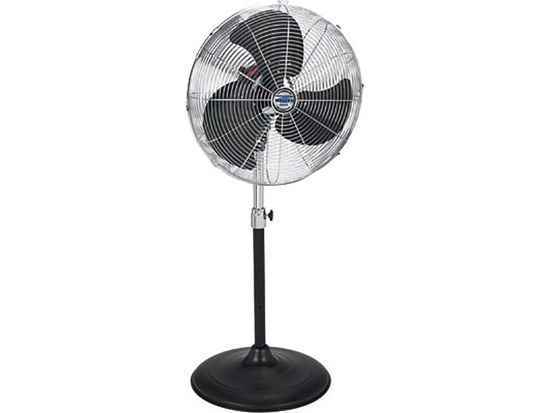 Pedestal Fan